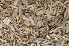 biomass boilers Shiskine