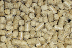 Shiskine biomass boiler costs